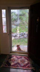 Her favorite spot to keep watch