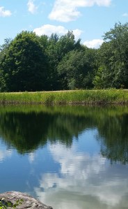 ATT_1439729282393_20150802_145518-1