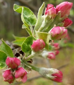 20160428_160340-1-1-1-1